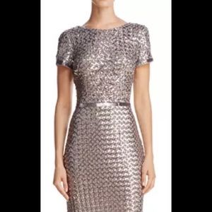 AQUA Belted Sequin Gown, size 4, Silver/Taupe